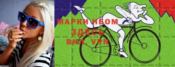 прущие грибы Балахна