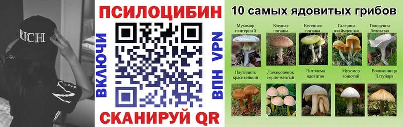 Псилоцибиновые грибы Psilocybe  Сегежа 