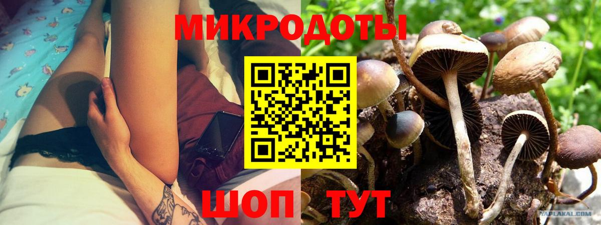Сегежа  Псилоцибиновые грибы мухоморы  Галлюциногенные грибы мухоморы  Вход с VPN 